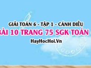 Giải bài 10 trang 75 Toán 6 Tập 1 SGK Cánh Diều
